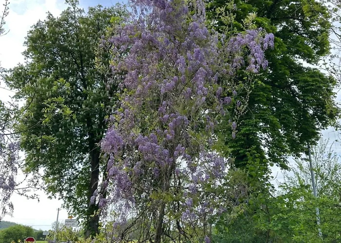Riviere Et Jardin A Vos Pieds * Pulligny